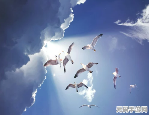 微软飞行模拟 2024 下载全攻略，畅飞蓝天不再难