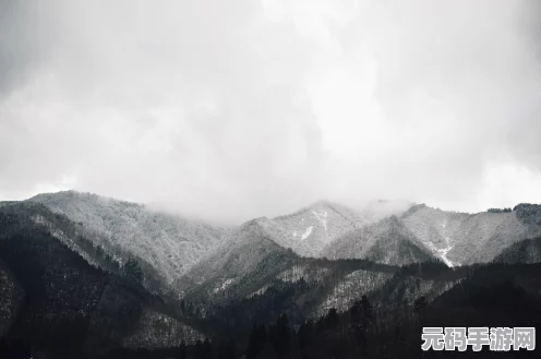 三角洲行动探险指南，长弓溪谷雷达站保险位置全揭秘