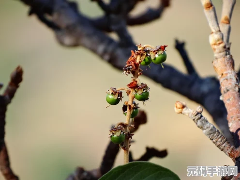 鸣潮桃树脚下埋葬着成就全解析攻略指南