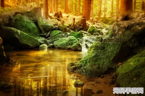 帕拉多斯奇遇，深入方舟，生存进化的神秘未知领域