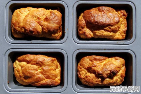 小森生活，解锁六级厨房，美食之旅再升级！