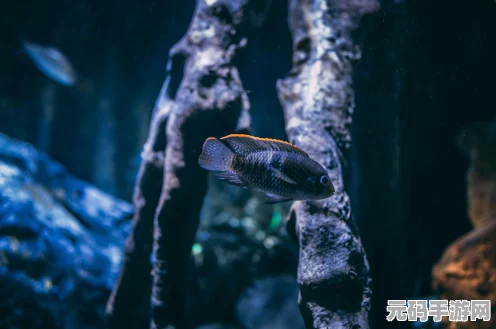 凶影疑云与鱼共眠成就全解析指南