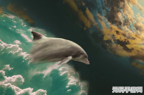宝可梦大探险，探索海洋奥秘，揭秘墨海马获取之道