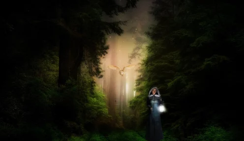 江南百景图萤火虫之秘，探寻梦幻光影的奇妙地图