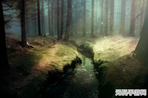 大侠立志传，林中空地通关秘籍大揭秘