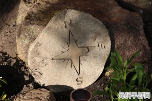 小森生活探索指南，揭秘土拨鼠的藏身之处