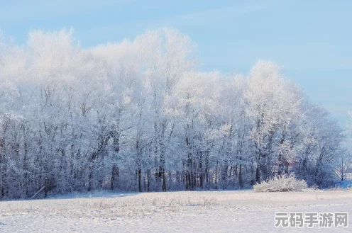 妄想山海探秘，千年雪鲸刷新与神秘巨兽再现的奥秘