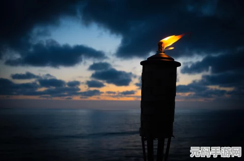 火炬之光，揭秘初火微尘的无限可能