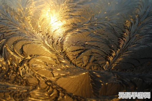 精灵宝可梦剑盾，冰系强者大揭秘！