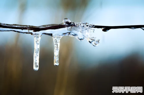 精灵宝可梦剑盾，冰系强者大揭秘！