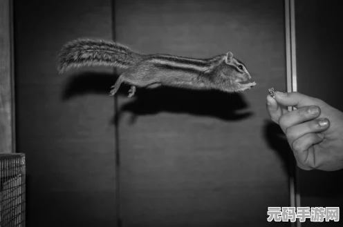 探秘手游中 AP 韦鲁斯的恐怖秒人秘诀