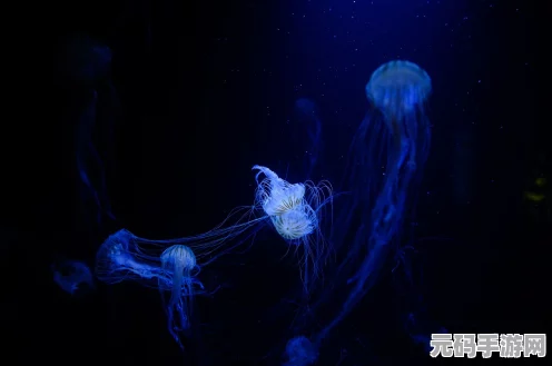 鸣潮手游中可塑型巨浪级声骸Ⅱ效果全解析