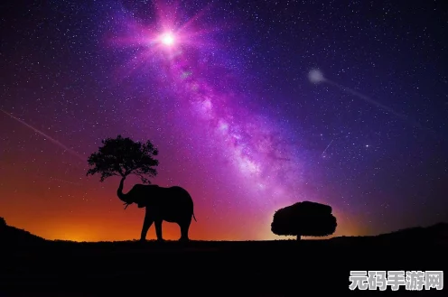 天地劫幽城再临紫蕴魂石搭配深度解析，打造最强法坦的秘诀