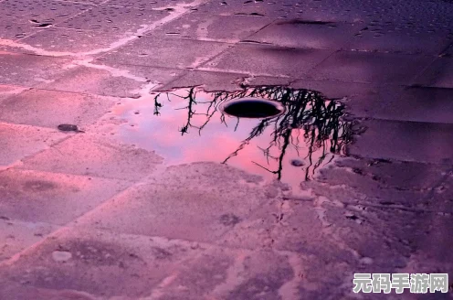 破碎之地传说之影，末世冒险的深度玩法与实战技巧揭秘