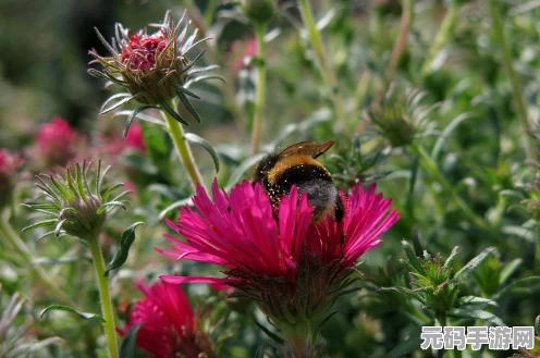 诛仙3伤心花8特效震撼登场，绝美之花绽放仙侠世界