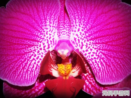 诛仙3伤心花8特效震撼登场，绝美之花绽放仙侠世界