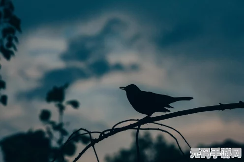 我的侠客，拳法组合搭配秘籍大公开