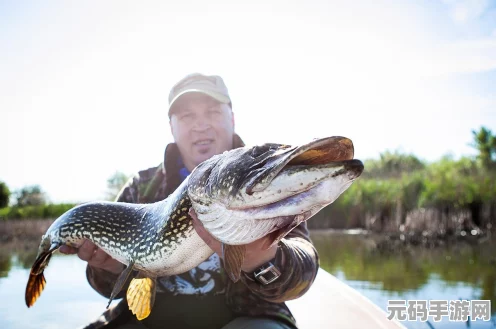 欢乐钓鱼大师，稀有鱼获取秘籍大公开