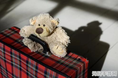 绝区零，拯救邦布泰迪的终极指南