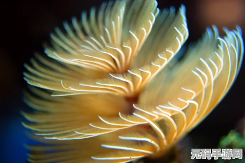 方舟生存进化新生物蝠鲼震撼登场，驯服秘籍大公开！