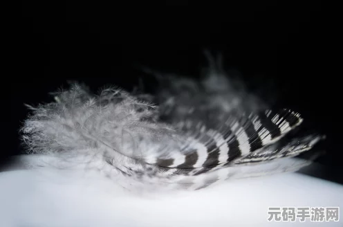 光遇筑巢季彩蛋与秘密空间卡墙全攻略