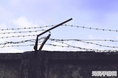 寻道大千仙居繁荣度攻略，打造你的仙境乐园