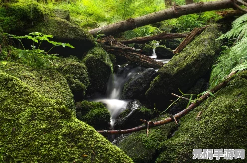 剑侠世界，起源探索绝美地图，领略江湖豪情与浪漫之旅！