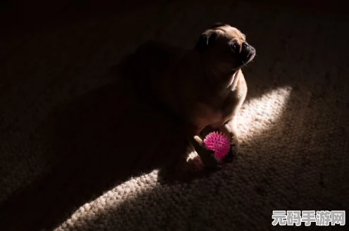 暗黑破坏神 4宠物外观更换全攻略