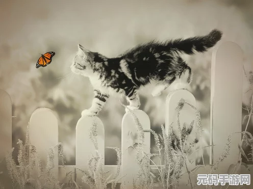 不休的乌拉拉，探索猫头鹰的神秘喜好，揭秘宠物世界的奇妙之旅
