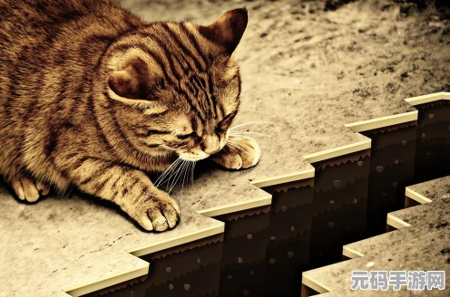 不休的乌拉拉，探索猫头鹰的神秘喜好，揭秘宠物世界的奇妙之旅