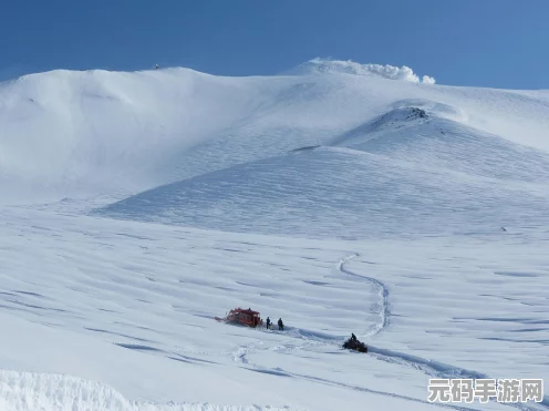 雪地追踪秘籍，刺激战场脚印深度解析与实战策略