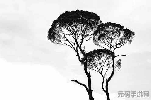 燕云十六声孤云加入全攻略指南