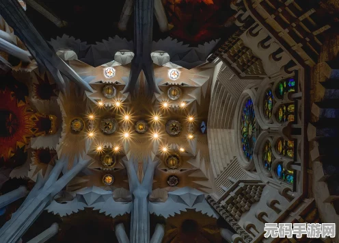 魔兽争霸种族冠军大揭秘，谁才是王者之族