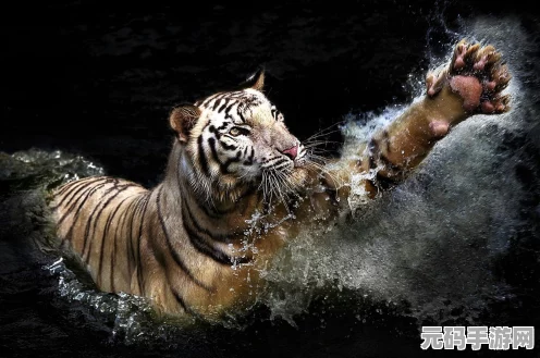 王者荣耀，揭秘梦见猫铭文搭配，打造全能辅助新体验