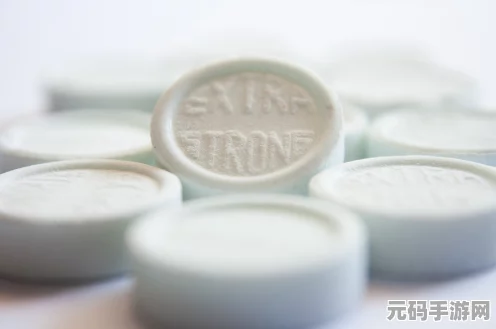 小森生活西瓜汁制作秘籍，解锁清凉夏日滋味