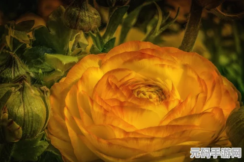 漫威争锋冰月花雪玩法全解析，带你称霸游戏世界