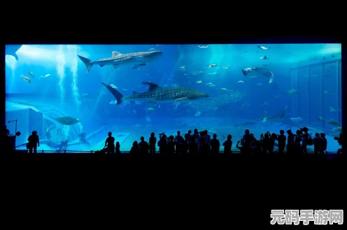 星露谷物语，探寻大眼鱼与五大鱼王的神秘钓点
