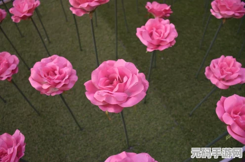 中国式相亲游戏，玫瑰花获取秘籍大公开