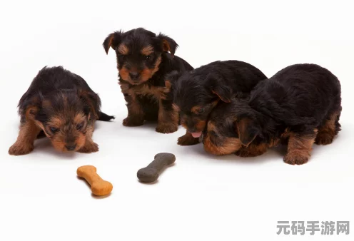 动物园之星展柜动物魅力大比拼，吸引力排行揭秘
