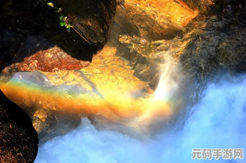 不休的乌拉拉德鲁伊，自然之力的万能玩法探索