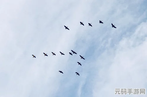 原神飞行考试通关秘籍大公开，助你轻松翱翔天际！