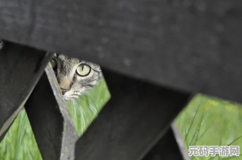 怪物猎人世界深度探索，骷髅的呐喊全解析