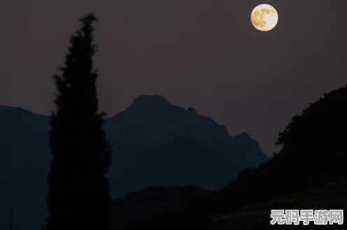 奇迹暖暖，篝火晚会璀璨之夜，高分搭配秘籍大公开！