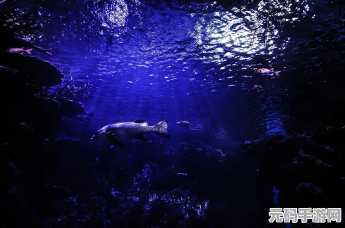 橙光游戏1004深度攻略，解锁未知世界的冒险之旅