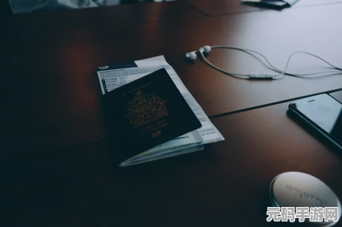 新月同行探险之旅，揭秘快速升级秘籍