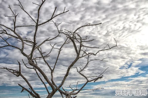 艾尔登法环幽影树庇佑效果全解析