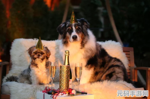 保卫萝卜 4 万圣奇妙夜主题活动第 15 关通关秘籍