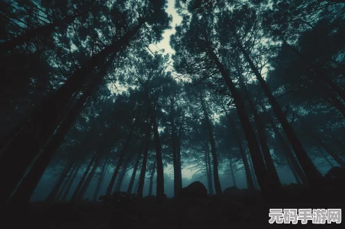 影之诗神秘画卷揭秘，踏上一场梦幻般的获取之旅