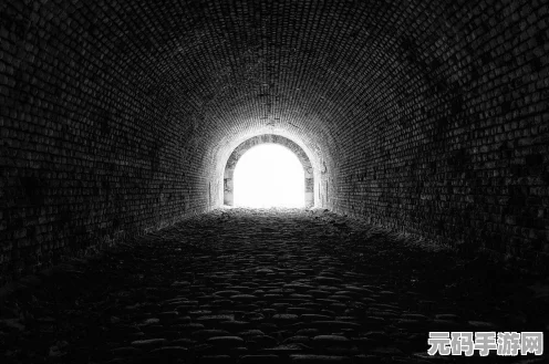 我的世界深度探索，墨囊用途及获取方法全揭秘