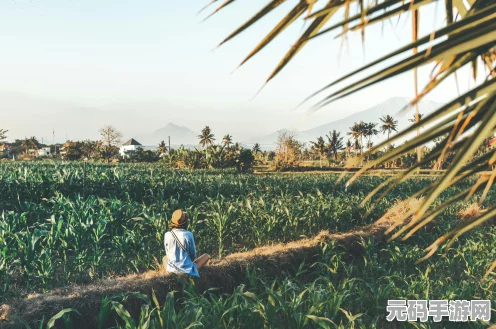 小森生活深度攻略，超级小麦获取秘籍，农业种植新篇章